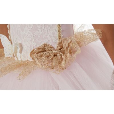 Gold tutu outlet dress for adults